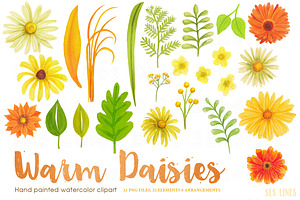 Warm Color Daisy Florals