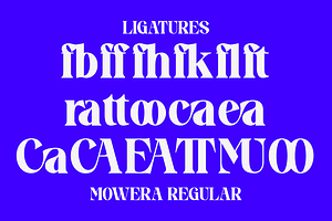 Mowera - Bold Serif