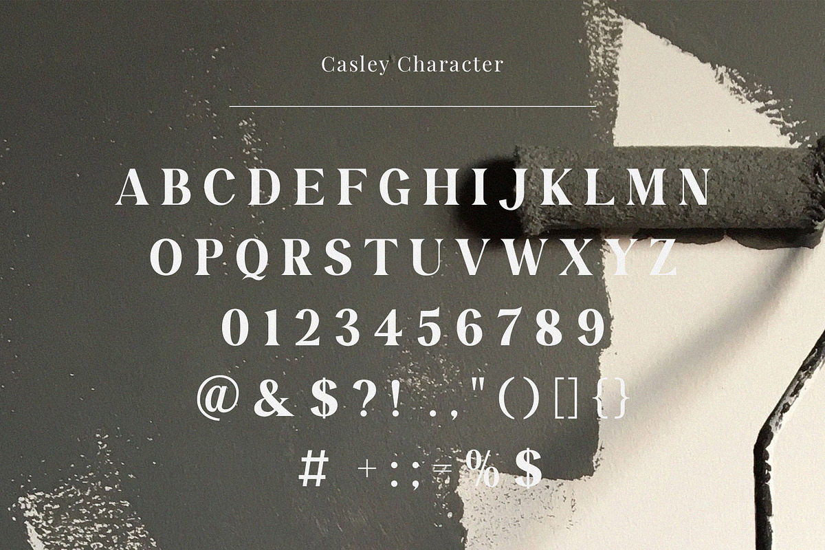 Casley - Modern Serif Font, a Serif Font by TypeLogue (Photo 4 of 5)
