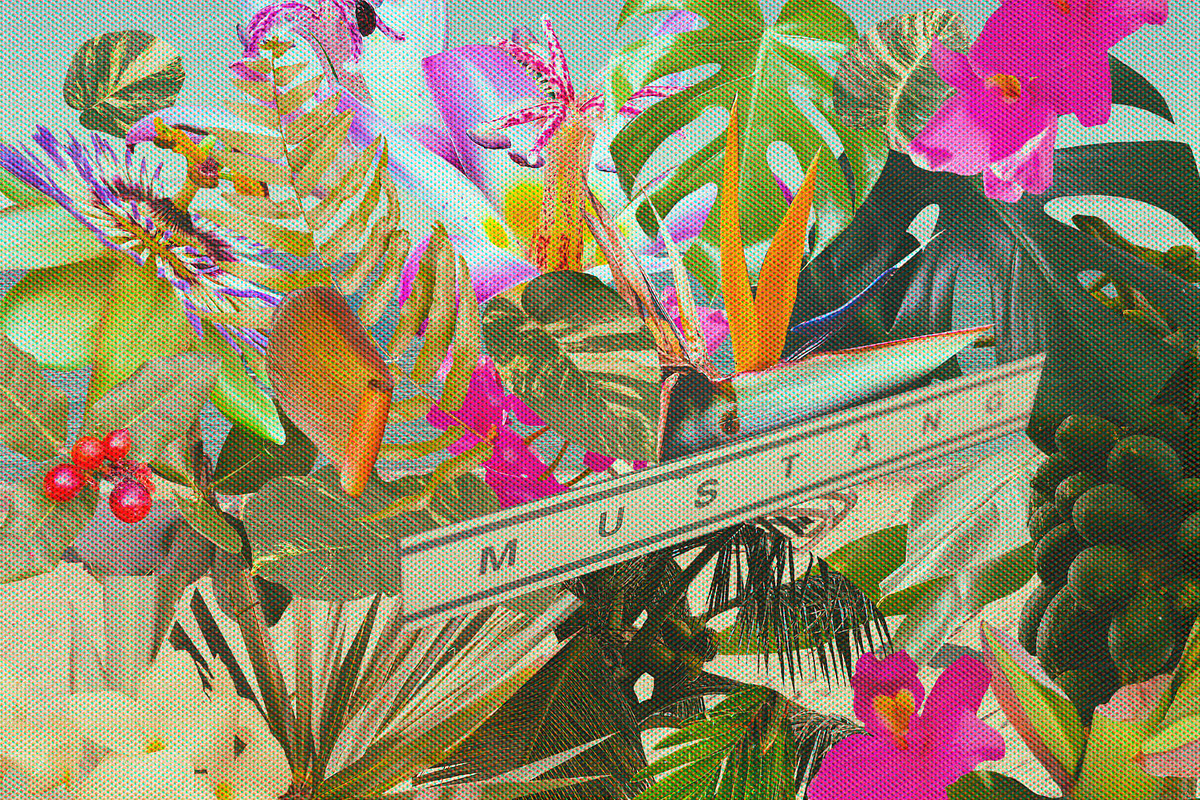 Miami Beach Collage Elements, an Object Graphic by nadispasibenko (Photo 9 of 31)