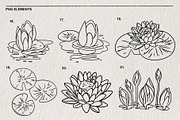 Set of water lilies and flowers PNG, a Decorative Illustration by LOKSKIH (Thumbnail 6 of 10)