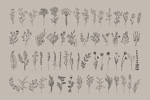 Wildflowers Svg Bundle