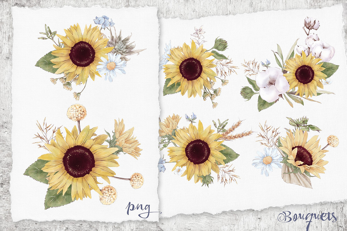 Watercolor Sunflowers and Cotton, an Illustration by Yuliya Art (Photo 19 of 24)