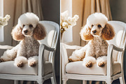 CAPUCHINNO Mobile Lightroom PRESETS, a Preset Add-On by LOTA_CREATIONS (Thumbnail 5 of 8)