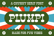 Retro Font Bundle, a Serif Font by The Type Fella (Thumbnail 18 of 25)