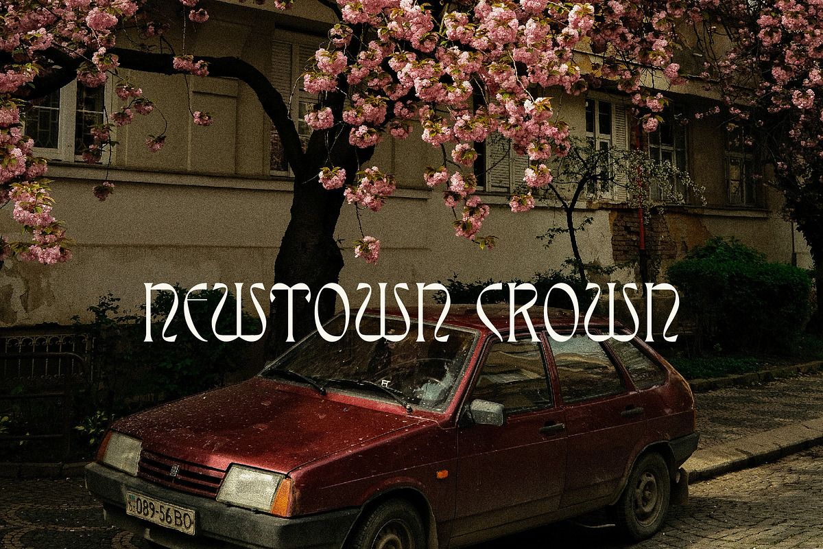 Display Font Collection, a Slab Serif Font by Tropical Type (Photo 4 of 46)