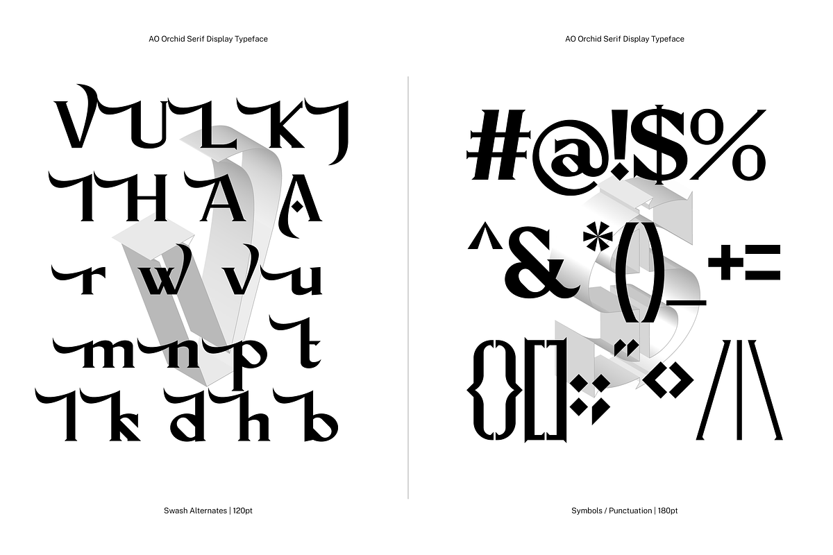 AO Orchid - Decorative Typeface, a Serif Font by OwunStudio (Photo 10 of 15)