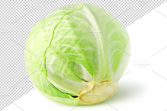 White Cabbage