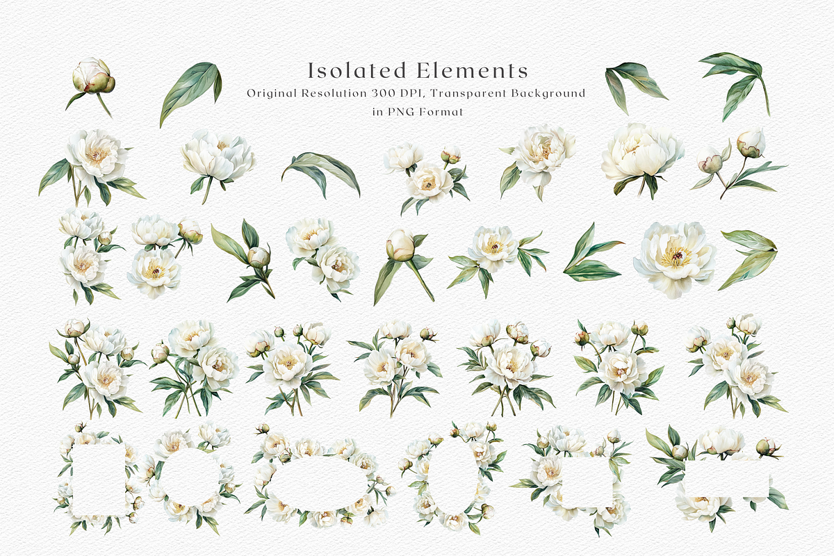 White Peony Watercolor, a Decorative Illustration by ThaismotaCreativeCo (Photo 8 of 10)