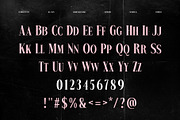 The Romanty – Romantic Old Style, a Serif Font by Drizy (Thumbnail 4 of 10)