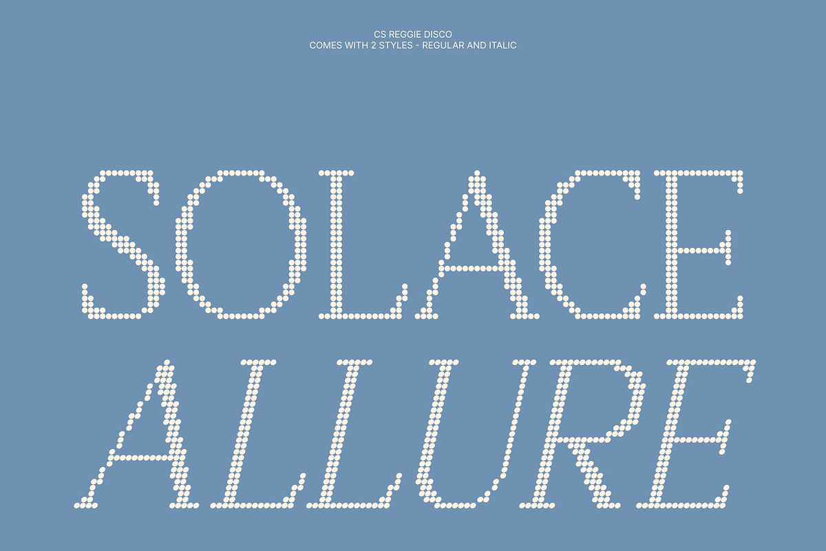 CS Reggie Disco, a Serif Font by Craft Supply Co. (Photo 3 of 8)