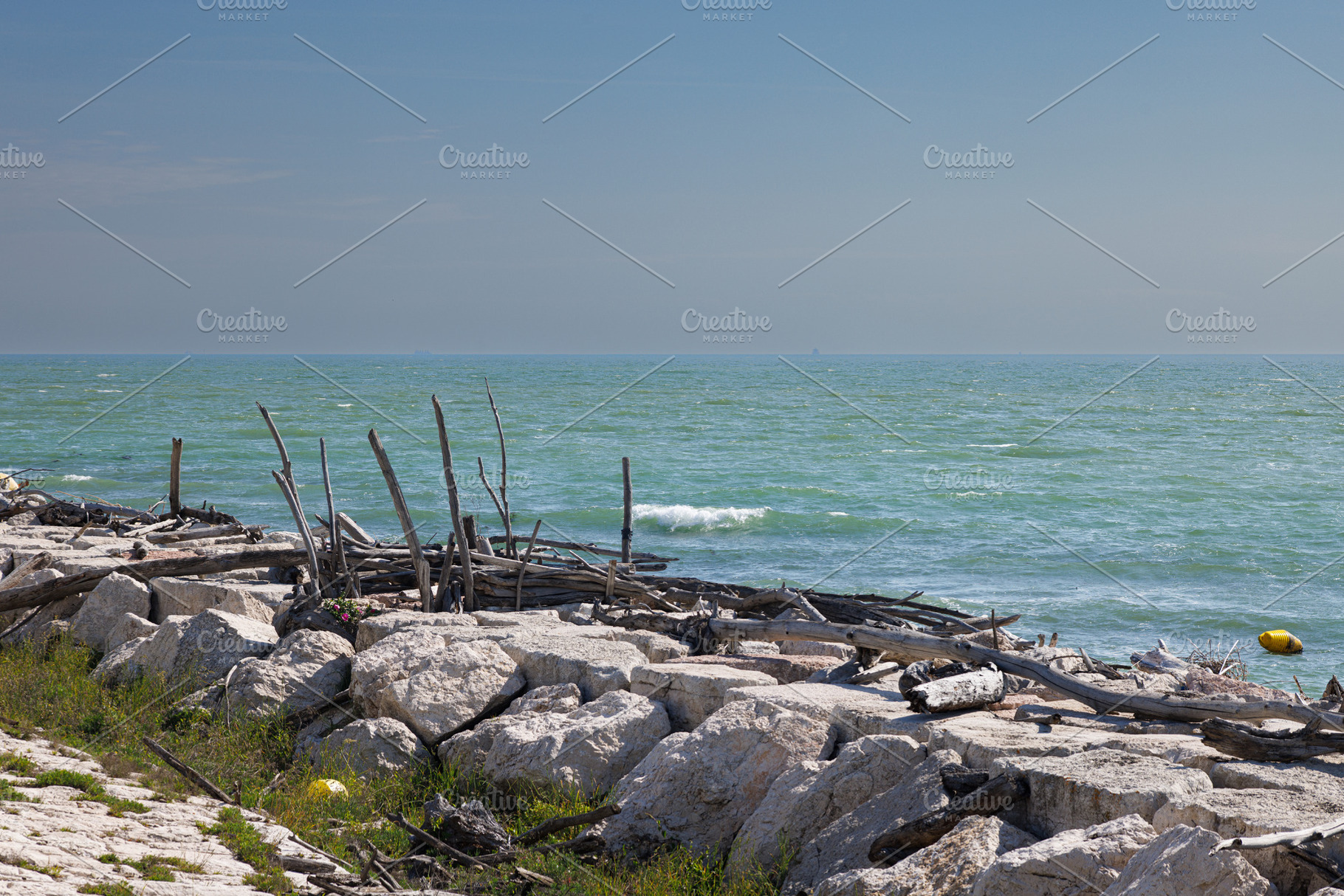 Rotten driftwood, branches, and logs washed ashore by the sea on, a Nature Photo by Bepslabor
