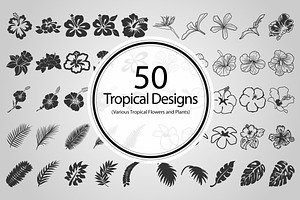 50 Tropical Designs (Vector)