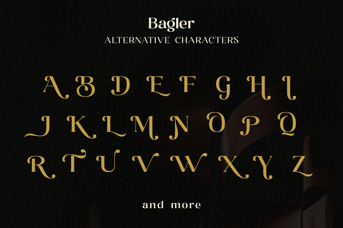 Bagler - Ornamental Display Font, a Serif Font by Ekahermawan (Photo 10 of 13)