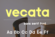 Modern Sans Serif Font - Vecata, a Sans Serif Font by ZoloDesignHub (Thumbnail 8 of 8)