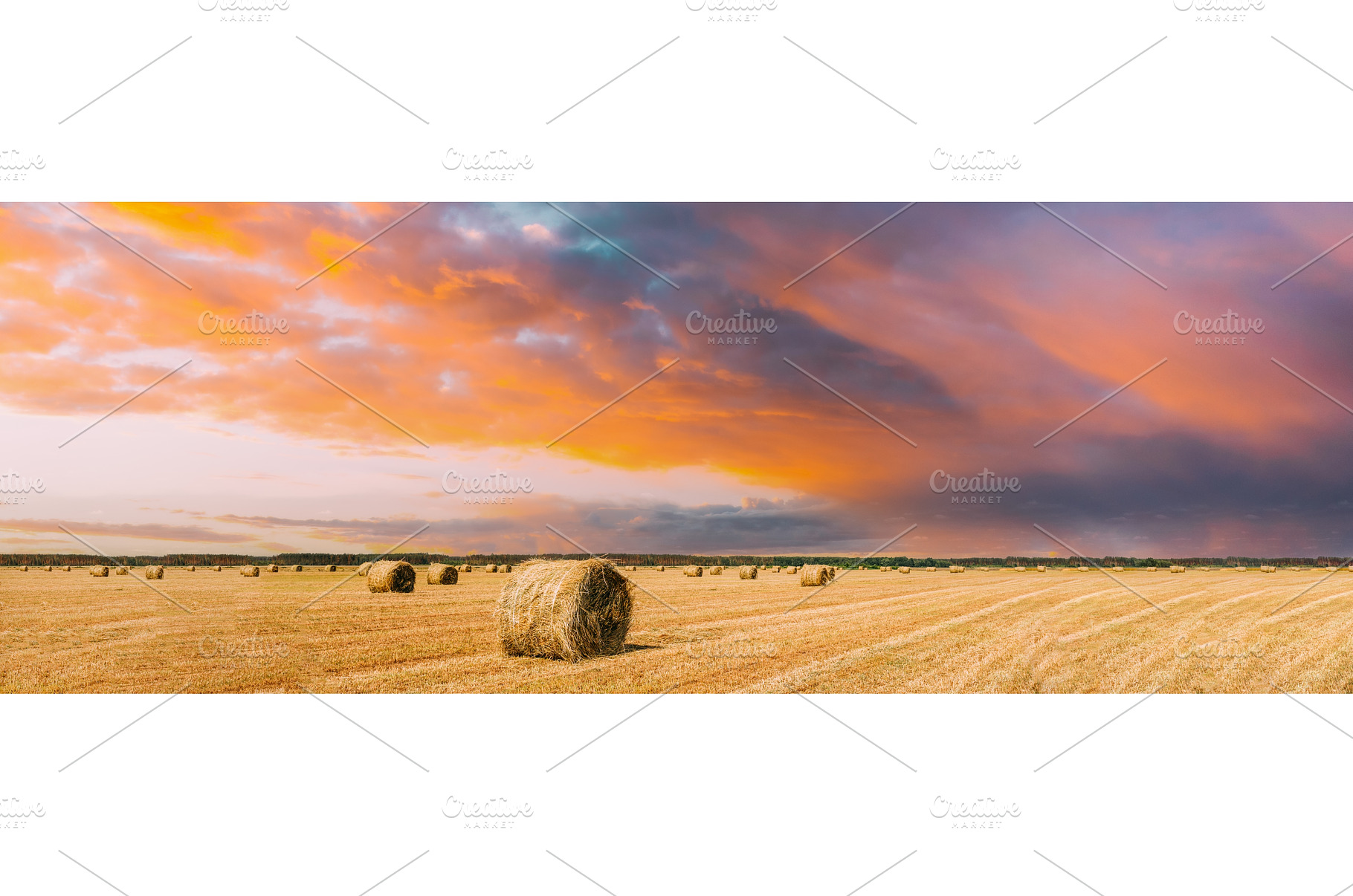 Scenic View Bright Sunbeams On Rural, a Nature Photo by Our Amazing World