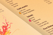 Universal Club Menu Template, a Flyer Template by ItemBridge (Thumbnail 4 of 4)