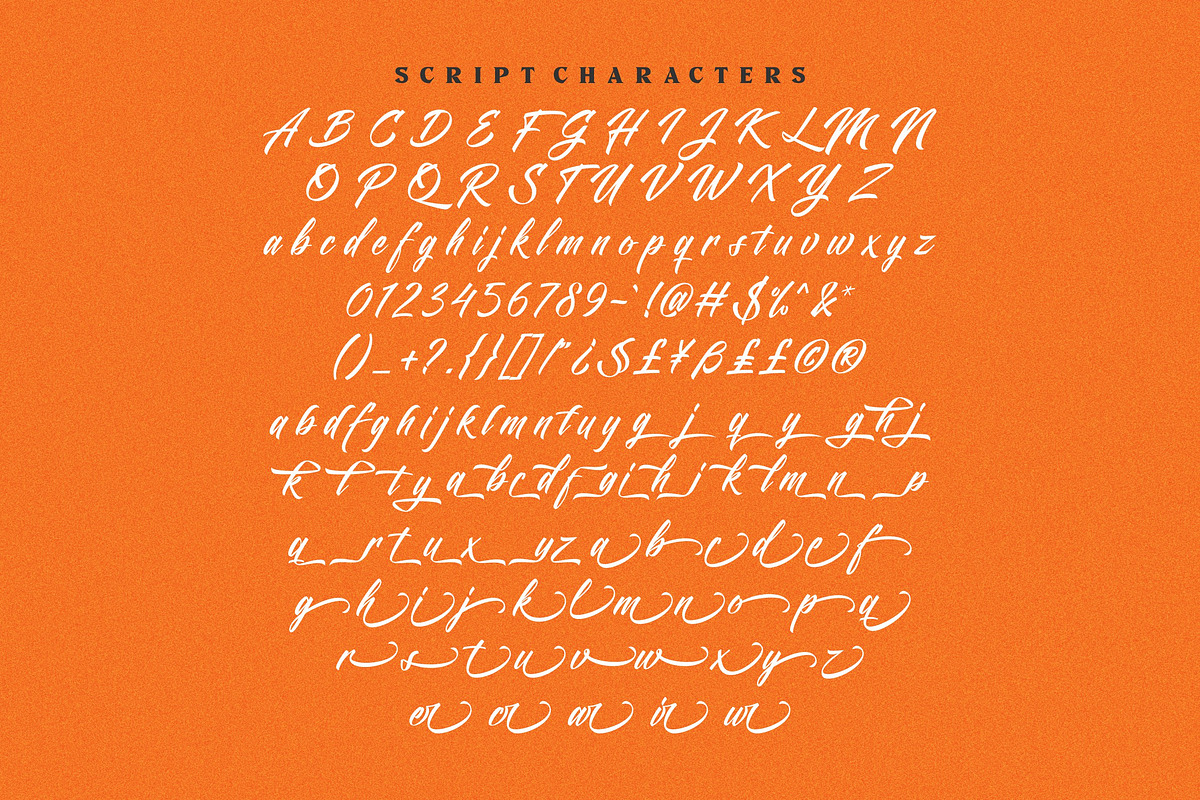 Pastel Trunk - Font Duo, a Serif Font by ErgibiStudio (Photo 13 of 14)