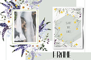 Wild Garden. Watercolor wildflowers., an Object Illustration by ma_i_vi (Thumbnail 5 of 11)