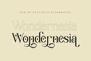 Wondernesia Nostalgic & Modern Serif, a Serif Font by Lettertype Studio (Thumbnail 2 of 15)