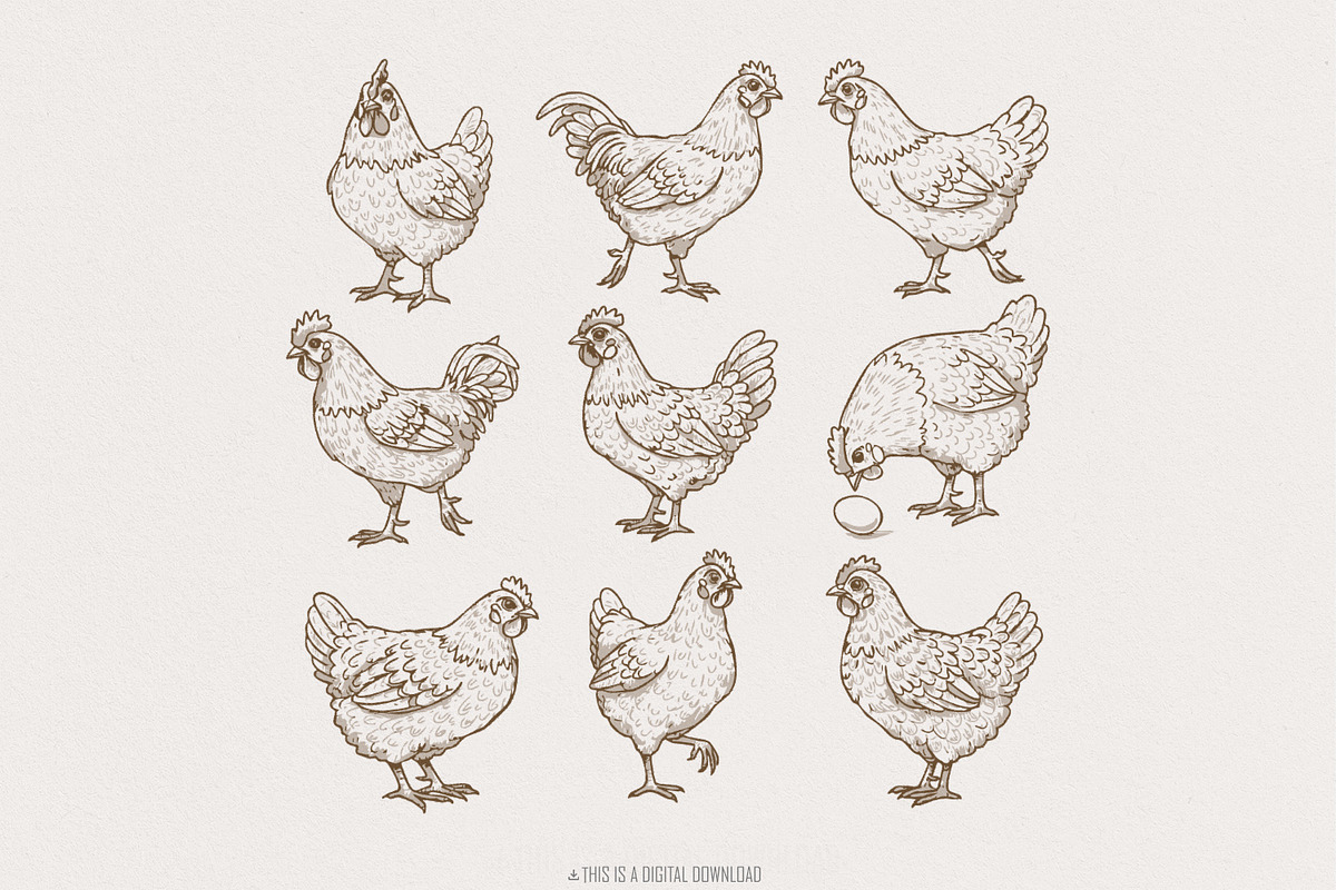 Vintage Chicken Lover PNG, an Illustration by SharpMarketplace (Photo 1 of 9)