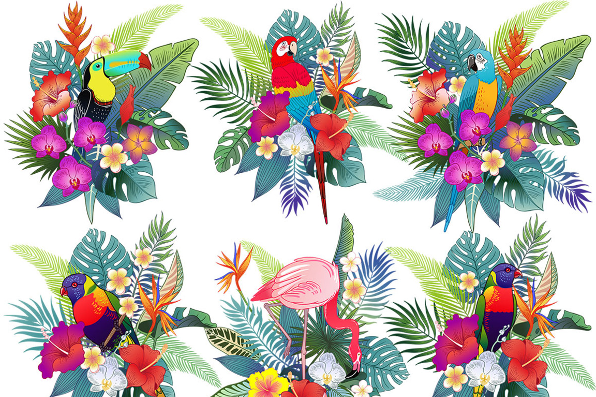 Tropical birds & flowers, an Object Graphic by Anastasia (Photo 3 of 12)