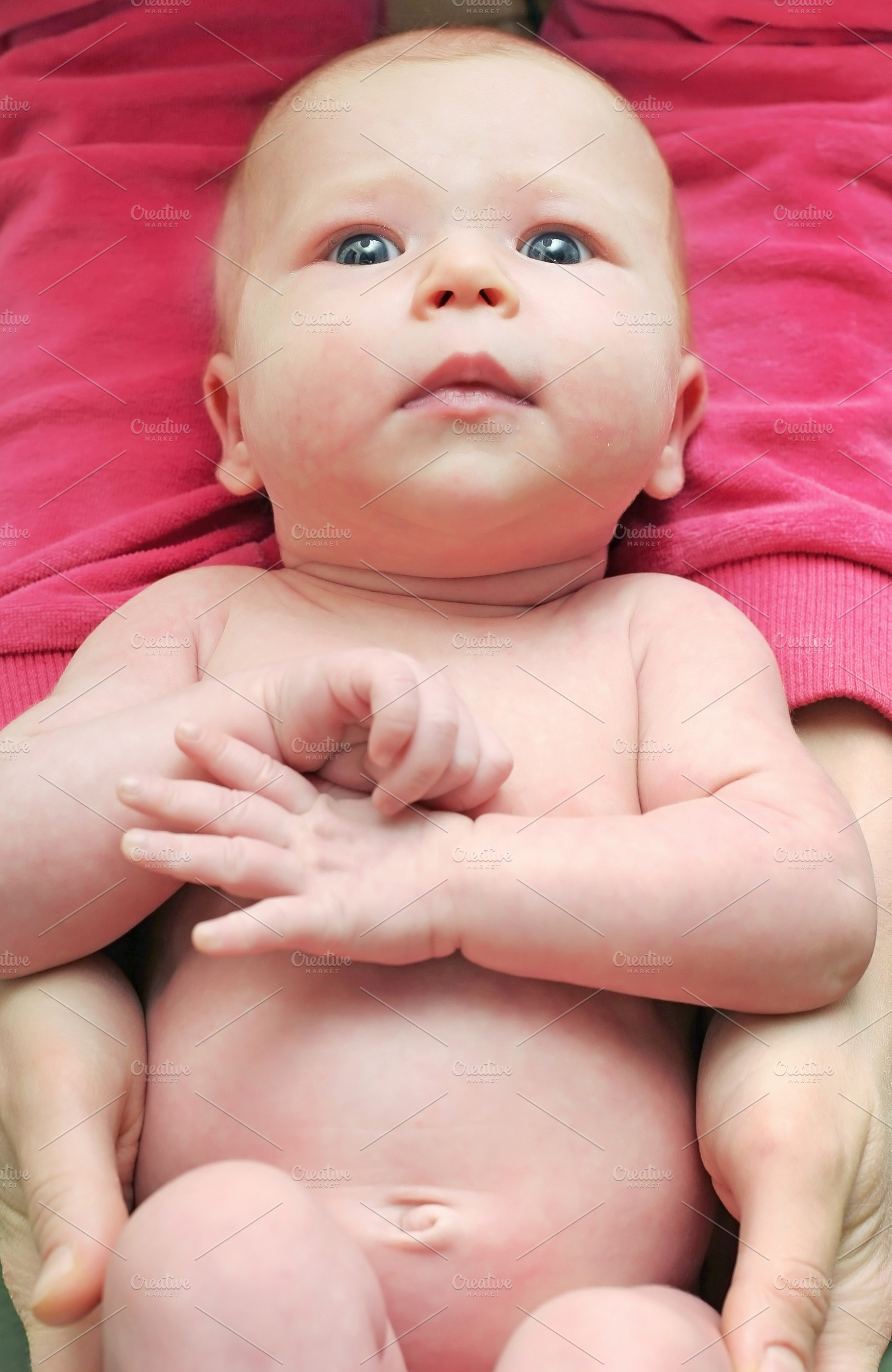 Newborn girl, a Photo by saiko3p