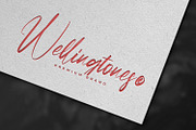 Partiny Agathi - Handwritten Font, a Script Font by StringLabs (Thumbnail 8 of 10)