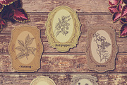 Herbs and spices. Vintage labels set, a Food Illustration by kateja (Thumbnail 4 of 8)