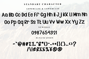 Morning Cowboy, a Serif Font by FreshTypeINK (Thumbnail 5 of 7)