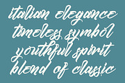 Kamperly Vacation Bold Calligraphy, a Script Font by stylishtype.co (Thumbnail 6 of 15)