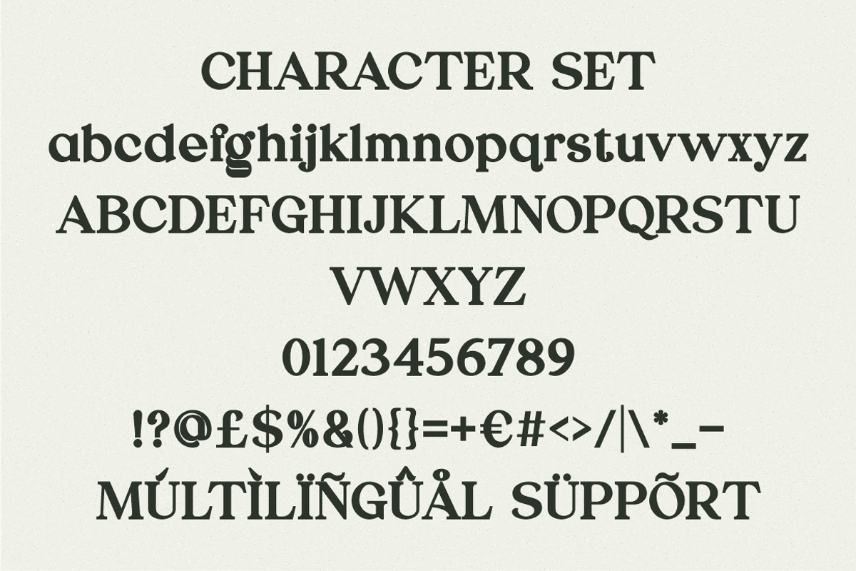Quervia Elegant Serif Font, a Serif Font by PutraCetol Studio (Photo 5 of 5)