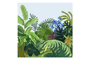 Plants & Green Leaves, Nature Cards