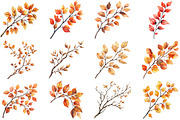 Botanical Fall Branches Clipart, an Illustration by Pixels.Craft (Thumbnail 3 of 5)