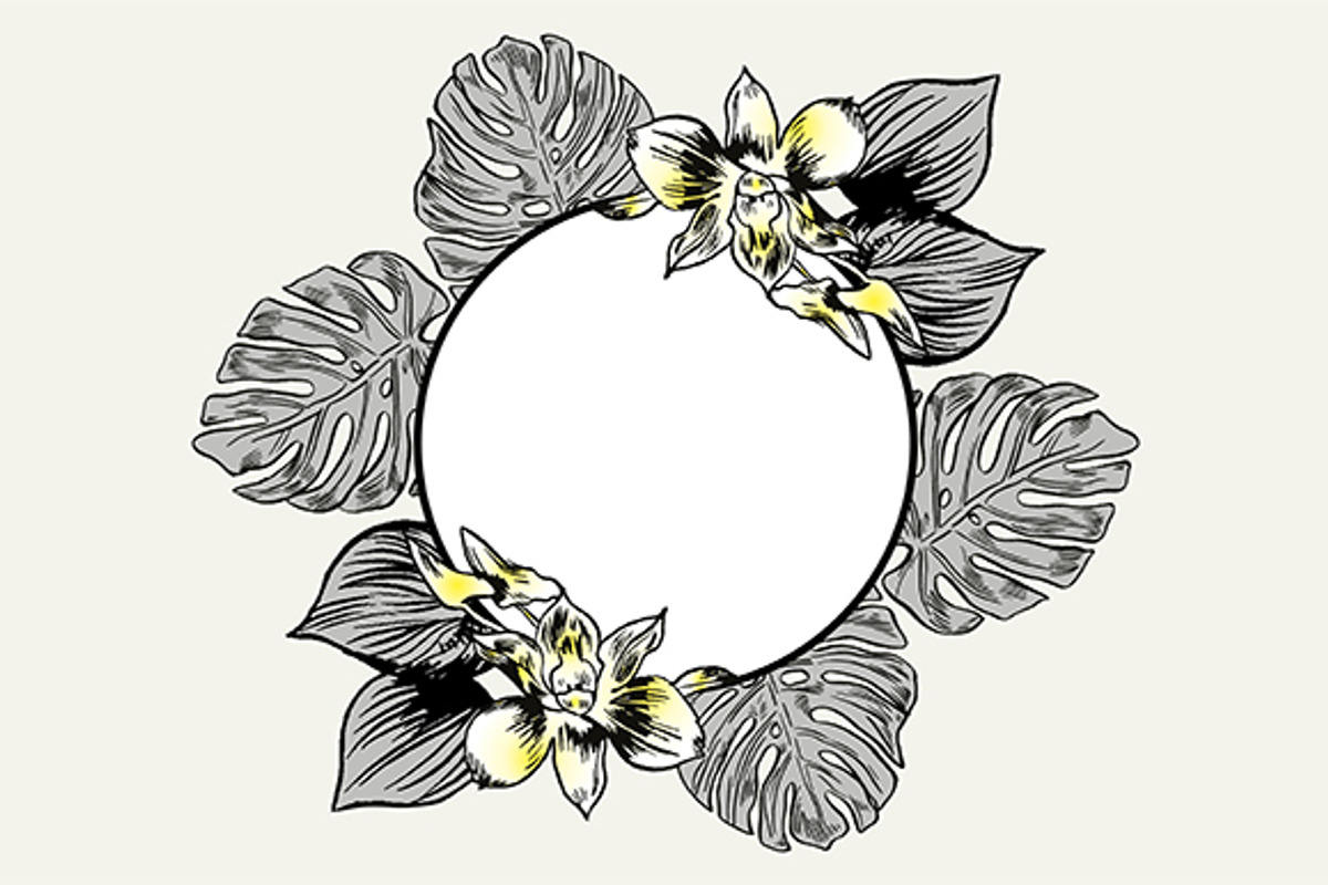 TROPIC set 2, a Decorative Illustration by Tanya Akhmett (Photo 9 of 10)