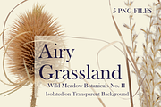 Airy Grassland — Wild Meadow Botanic, an Object Graphic by Aga Silva (Thumbnail 6 of 8)