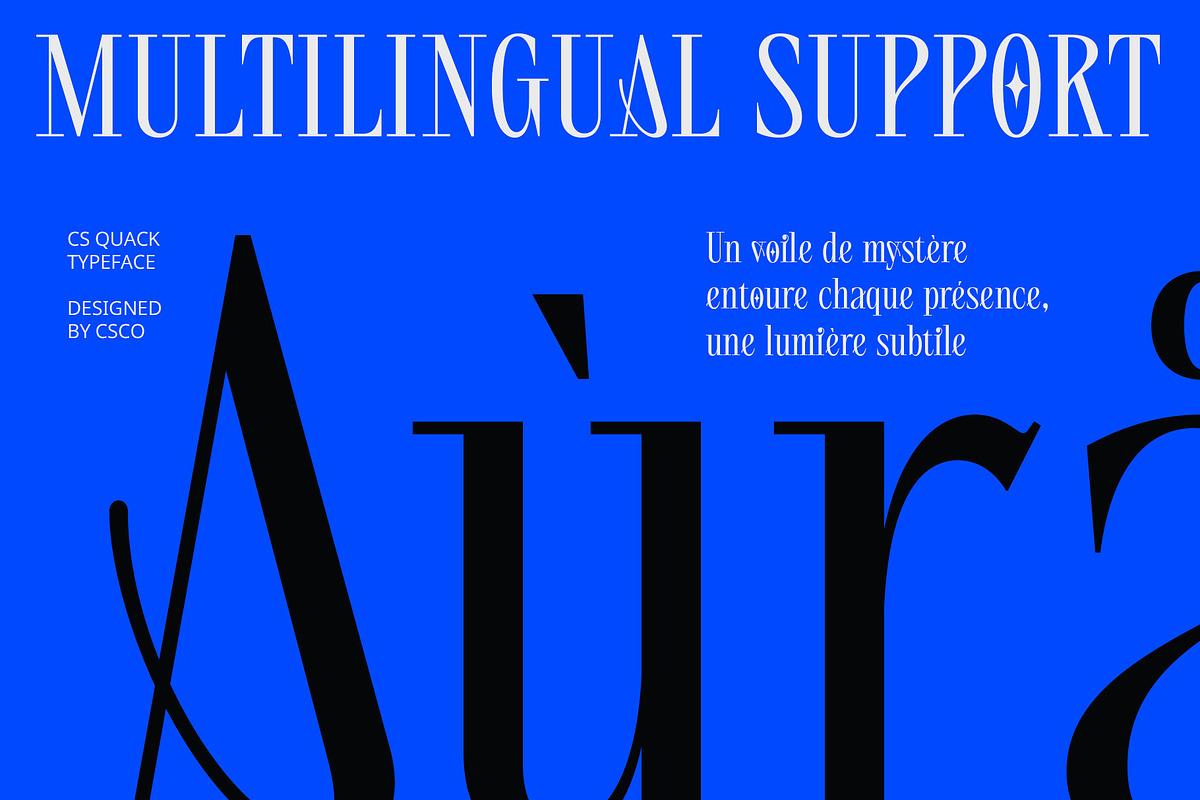 CS Quack – Aesthetic Font, a Serif Font by Craft Supply Co. (Photo 4 of 8)