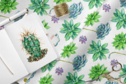 watercolor cacti and succulents, a Decorative Illustration by Hanna Hryharenka (Thumbnail 7 of 9)