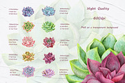 Succulents Watercolor clipart, an Illustration by BarvArt (Thumbnail 7 of 13)