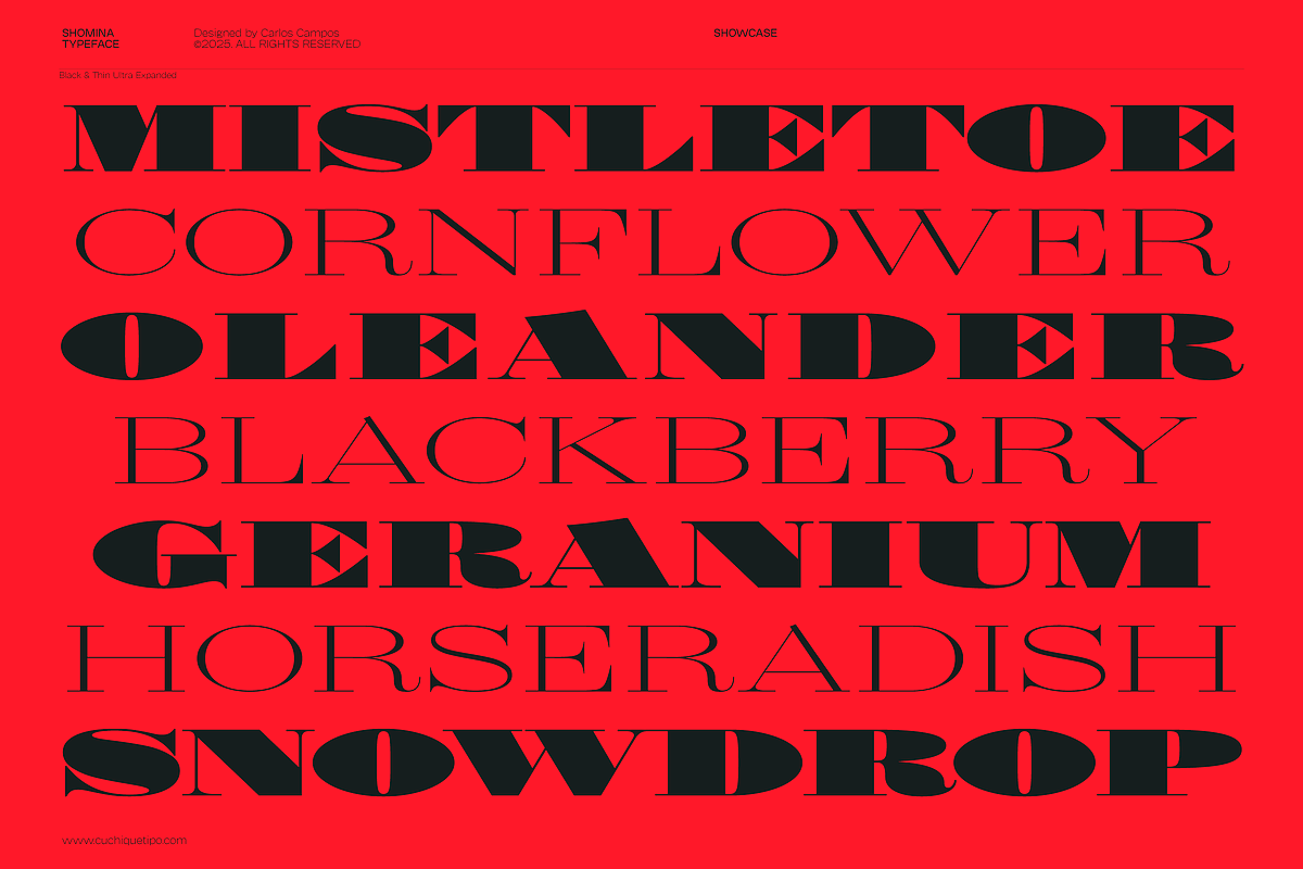Shomina Font, a Serif Font by Cuchi, qué Tipo! Foundry (Photo 8 of 21)