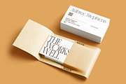 Delicate Calligraphy Elegant Serif, a Serif Font by Vampstudio (Thumbnail 11 of 14)