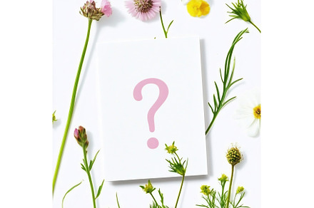A blank card surrounded by vibrant, a Wallpaper Photo by Beautiful things