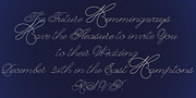 Dreamline, a Script Font by Wiescher-Design (Thumbnail 9 of 9)
