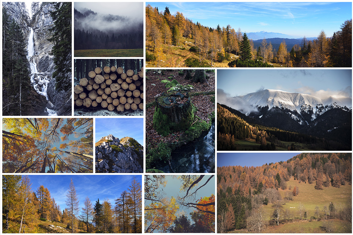 Mystic Autumn Photo Pack - 50 Images, a Templates & Theme by Dreamy Pixel (Photo 4 of 5)