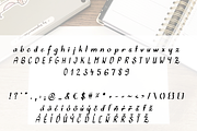 Journaling script handwritten font, a Script Font by bigmomentsdesign (Thumbnail 3 of 6)