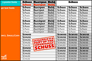 Schuss Sans CG Poster Extrabold, a Sans Serif Font by typic schuss (Thumbnail 14 of 15)