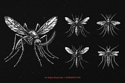 10 Bundle Dark Art Mosquito Insect, an Illustration by Morspective (Thumbnail 5 of 7)