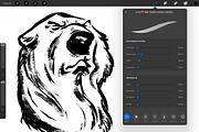 600+ Brushes Procreate BIG PACK, a Brush Add-On by Georg's Procreate Brushes (Thumbnail 80 of 115)