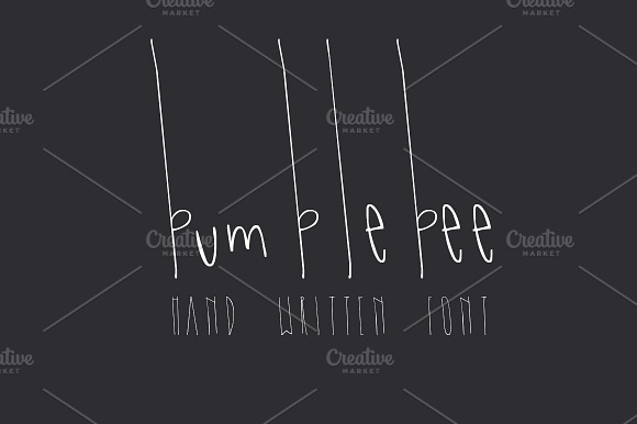BUMBLEBEE Skinny Hand Written Font preview 8