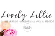 Lovely Lillie - Handwritten Fonts, a Script Font by lillie belles designs (Thumbnail 1 of 5)